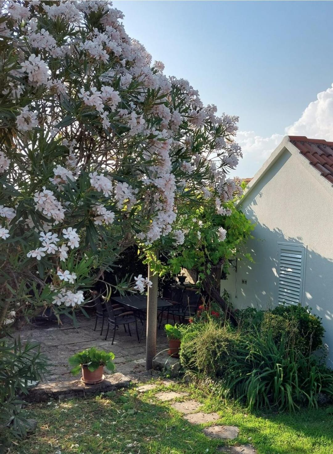 Holiday Home Sunrise Gruda Exterior foto